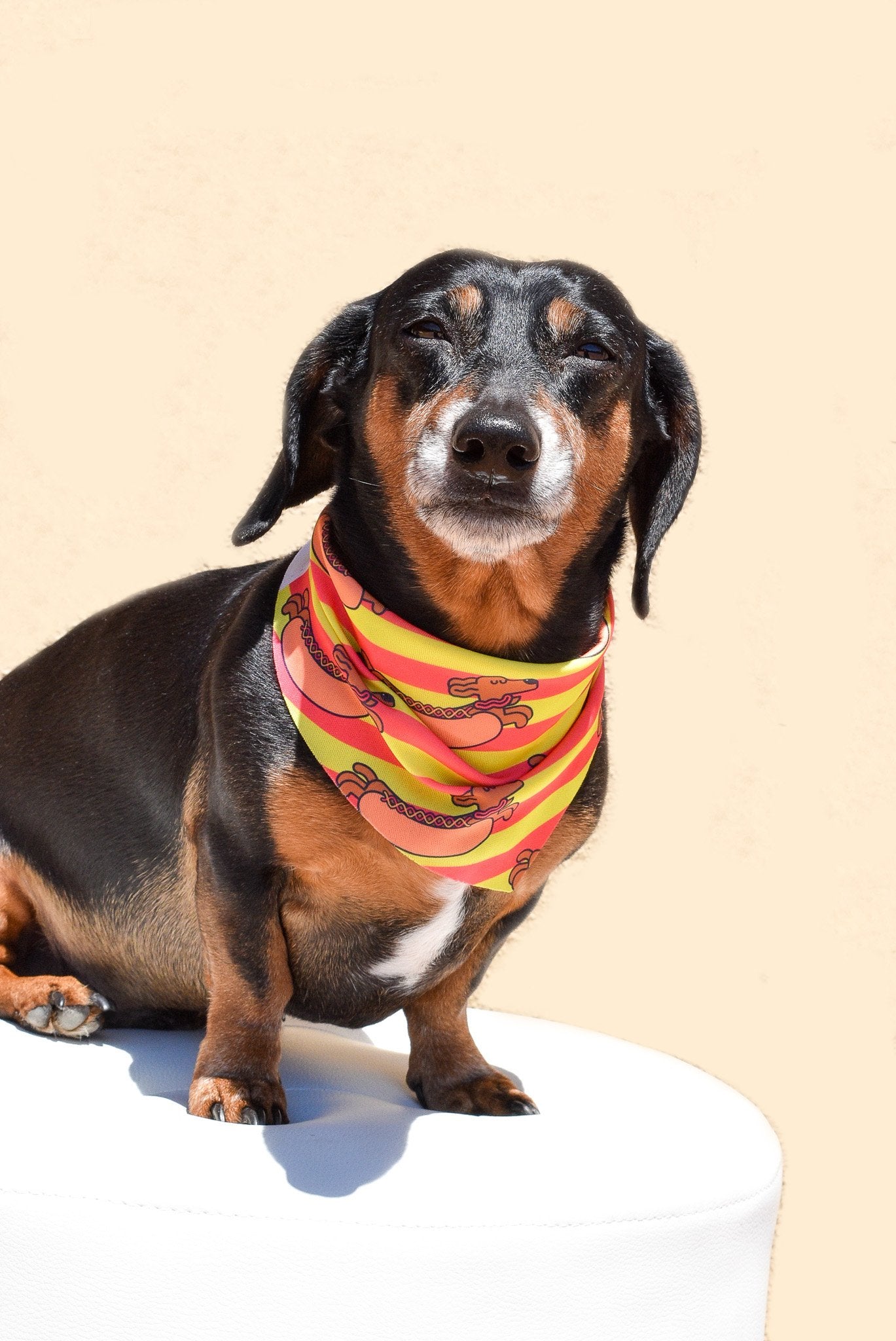 Hot Dog Lover Bandana