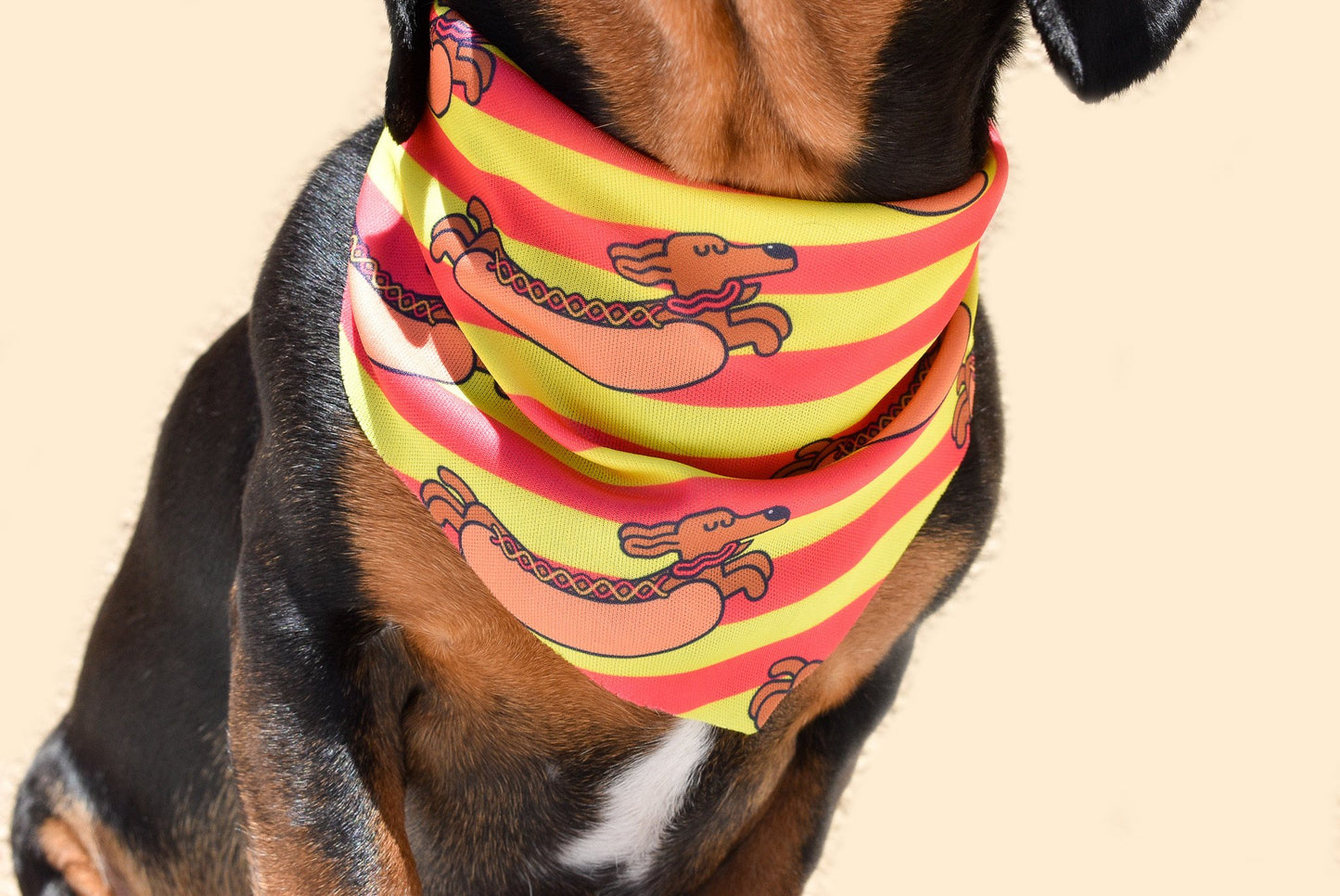 Hot Dog Lover Bandana