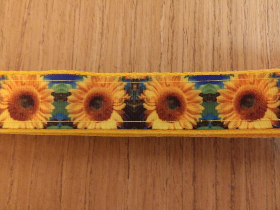 Leash/ Large/  Blue & Green Sunflowers