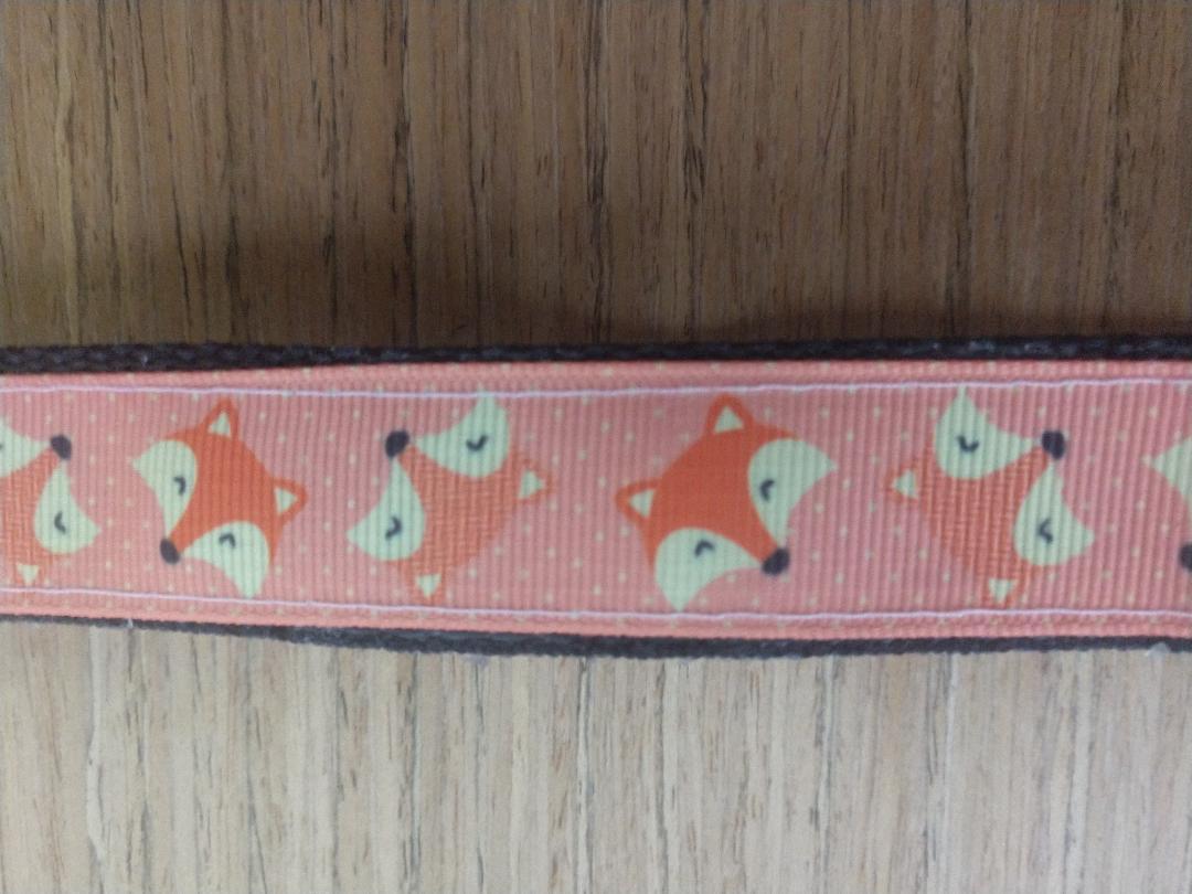 Collar/ Large/ Medium/ Fox