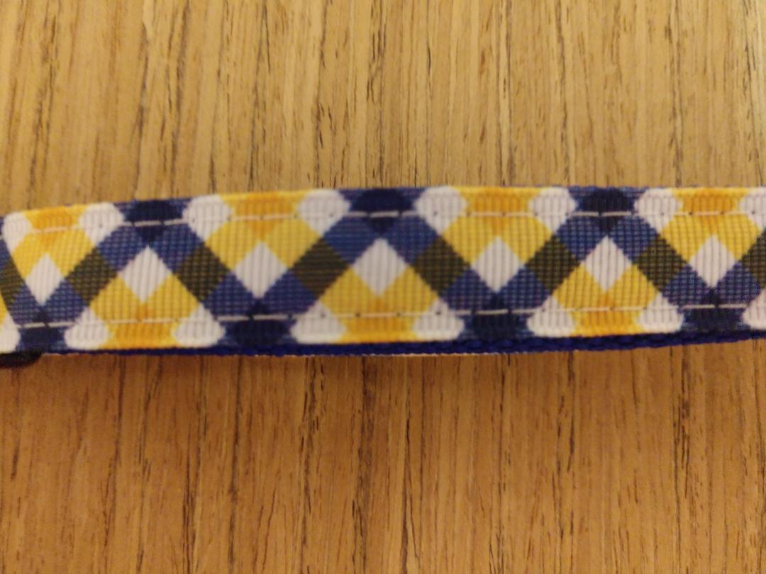 Collar/ Small/ Yellow & Blue Plaid