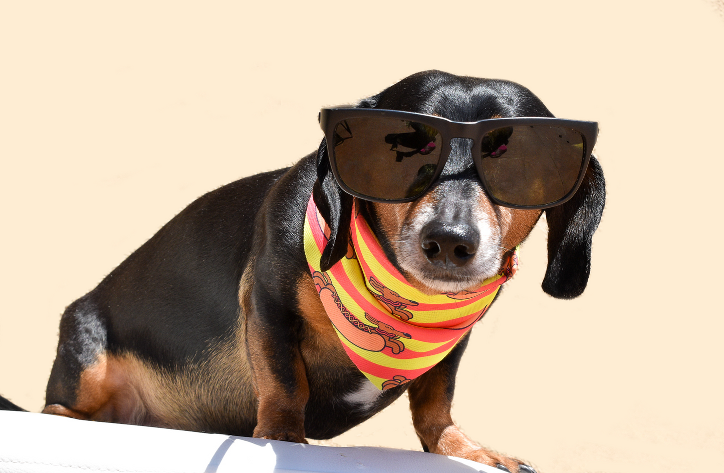 Hot Dog Lover Bandana